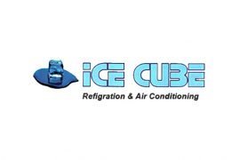 Ice Cube Logo Design
